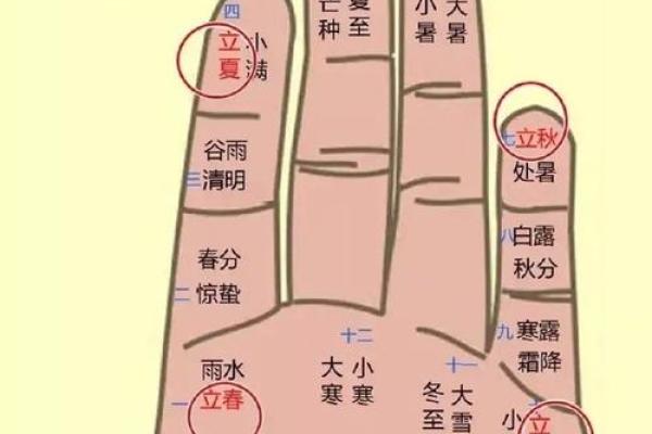 一掌算命