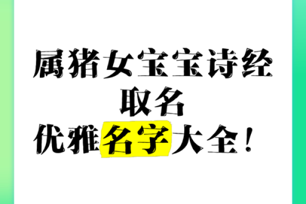 属猪丑时出生的男孩如何起名，适合什么字姓名