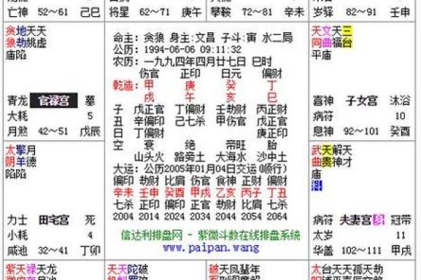 紫微斗数排盘