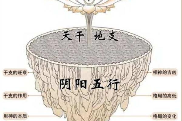 四柱八字与遗传基因的关系