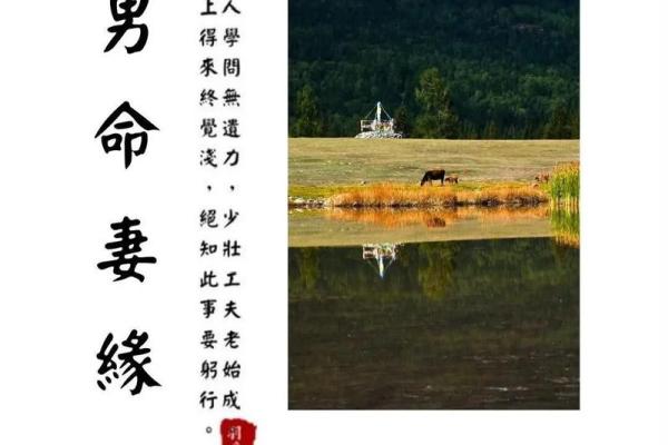 八字算命爱情 这几个八字的组合容易在一起白头偕老