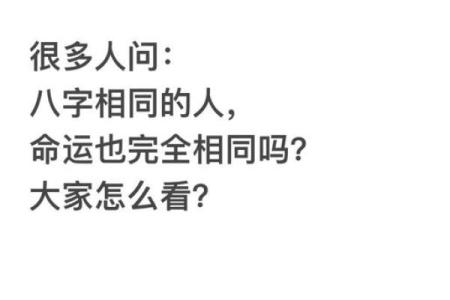 相同八字