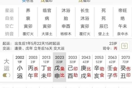 八字用神喜神查询