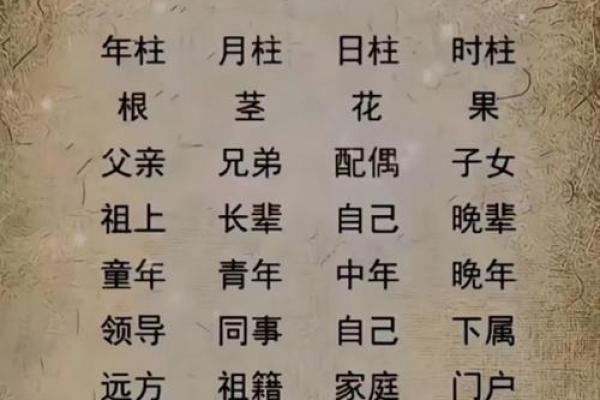 四柱八字分别代表什么？