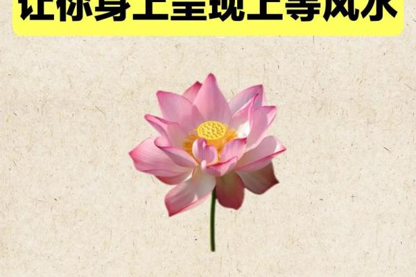 风水辟邪大全，一定要牢牢记住