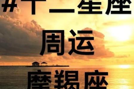今日星座运势查查询摩蝎座