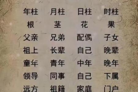 四柱八字分别代表什么？