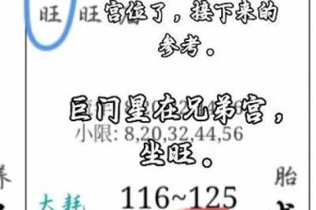 巨门在紫薇斗数中什么意思