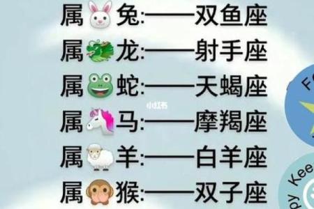 十二星座最喜欢的动物