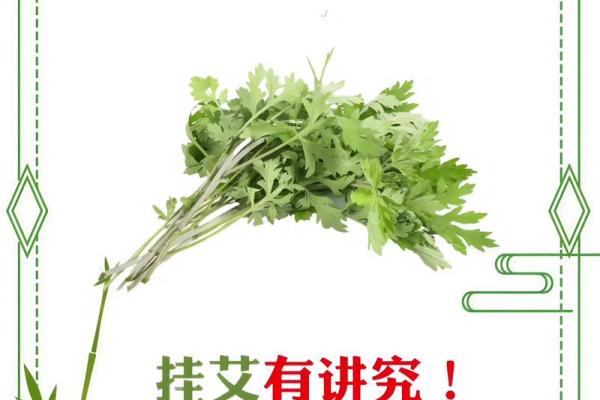 风水端午艾草挂艾草在门口寓意