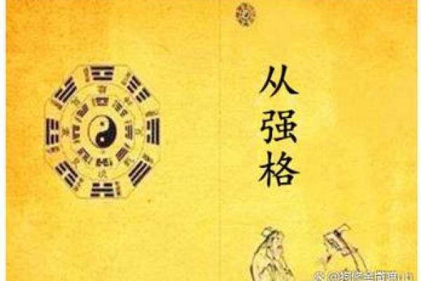 八字从旺格