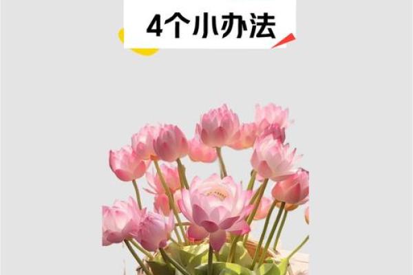 哪种风水会破坏财运-