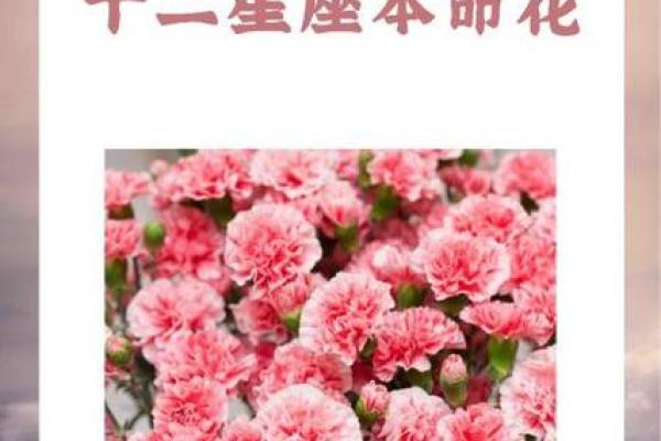 十二星座分别代表的花都有哪些呢