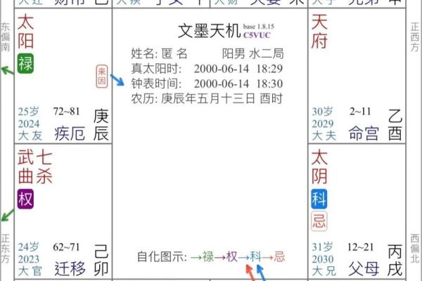 飞星紫微斗数原旨（斗数观测录）