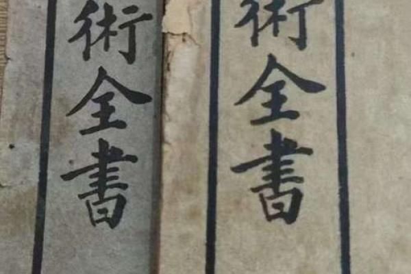 风水入门书籍_相术风水类小说
