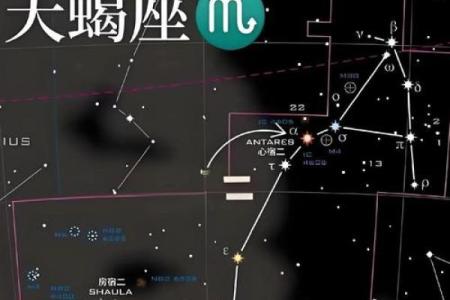 哪些星座心软没有城府