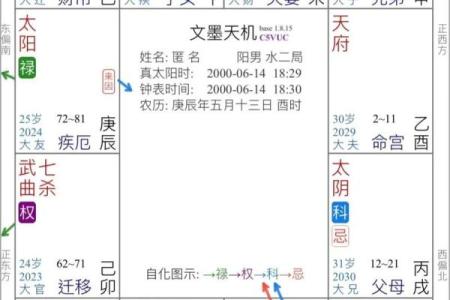 飞星紫微斗数原旨（斗数观测录）
