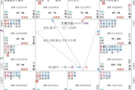 紫微斗数诸星落诸宫之：紫微星官禄宫详解