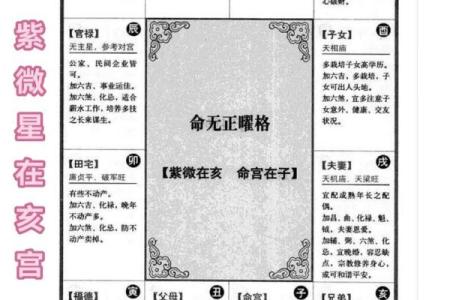 青龙紫薇斗数命宫