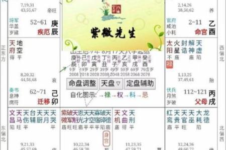 紫薇斗数好不好学