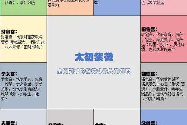 看紫薇斗数顺序