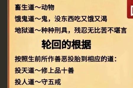 免费测试前世今生六道轮回 你知道免费测试前世今生六道轮回的真相吗