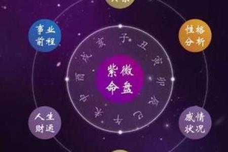 明极紫薇斗数
