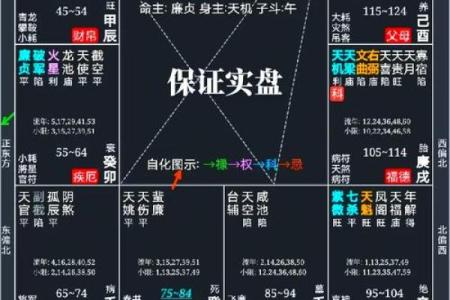 紫微斗数之各星曜所主行业： 紫微星