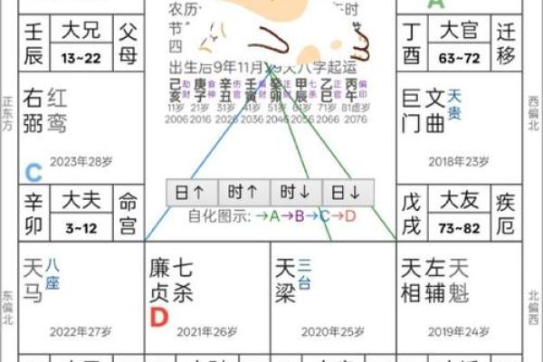 杨杏佛紫薇斗数盘