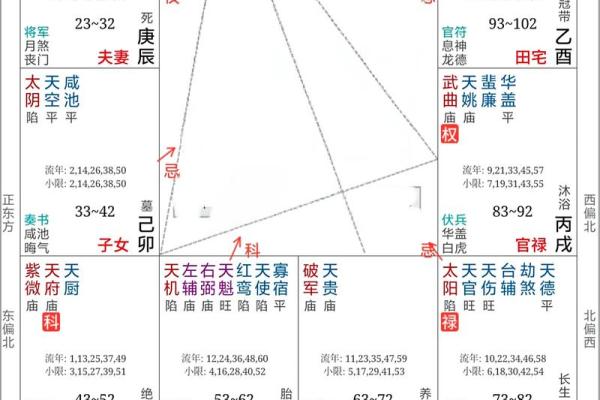 紫薇斗数运疾