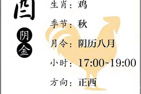 丁酉年八字
