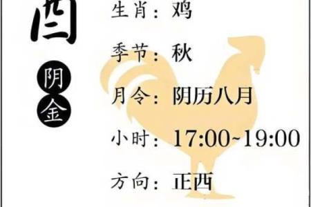 丁酉年八字