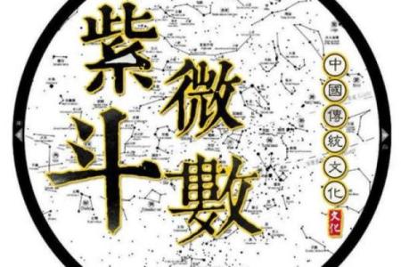 陈彦廷紫薇斗数书