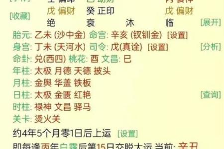算命丁卯是什么意思  丁卯日为什么是上等命