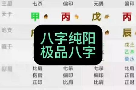 八字纯阳几月几号