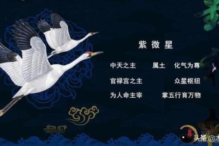 紫薇斗数相破