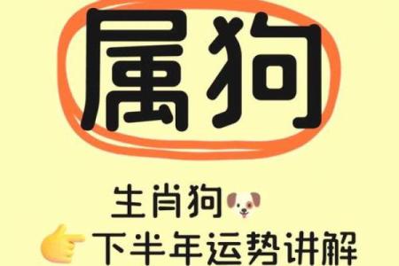 2018年生肖狗宝宝如何取名？狗宝宝取名有何禁忌？-华易网姓名