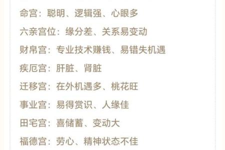 网盘紫薇斗数