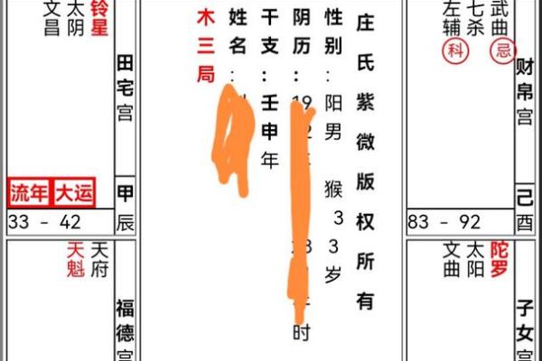 紫薇星入命宫平