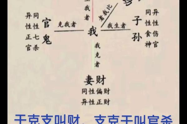 八字中的六亲