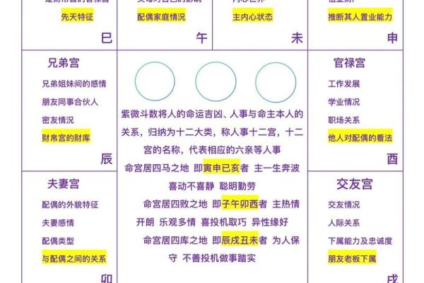 紫薇斗数看网红命格