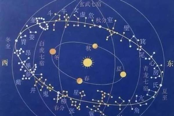 紫薇斗数寿命的星星