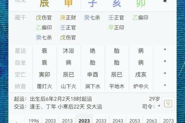 八字命盘养是什么意思