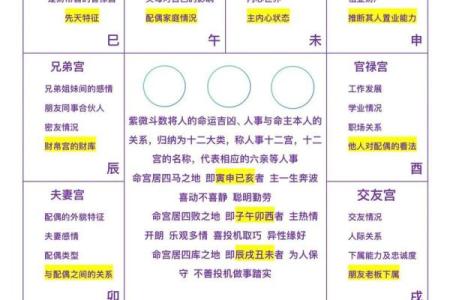 紫薇斗数看网红命格