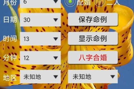 八字合婚五行