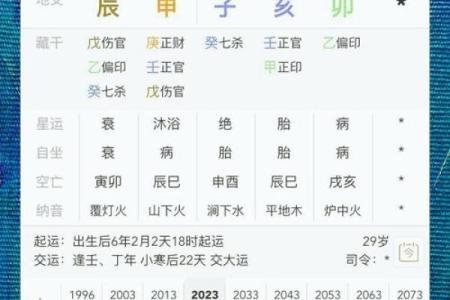 八字命盘养是什么意思