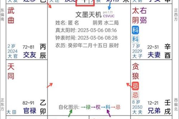 紫薇斗数太岁宫位