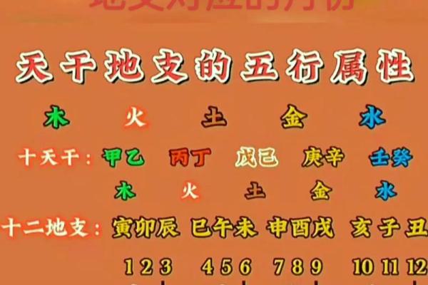 八字看天干