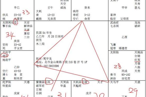 紫薇斗数apk