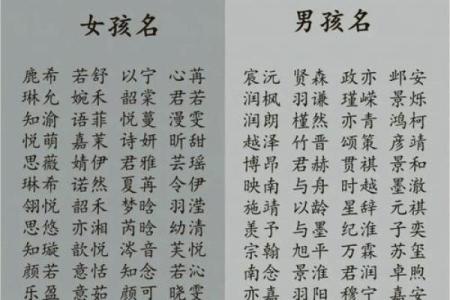 2024龙年谷雨节气出生的男孩八字缺木简单大气的名字